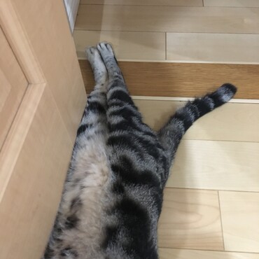脚が揃ってる♡なんかアサリの口みたい♡