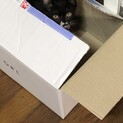 黒、白、ちょび髭のミルクちゃんです。