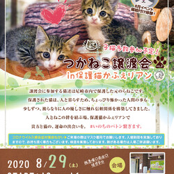 つかねこプチ子猫の譲渡会in尼崎(保護猫かふぇリアン)