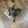 サビ女の子 サムネイル2