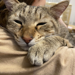 とっても甘えん坊のテンくんです