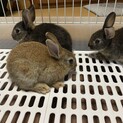 7月13日生まれです。どうぞよろしくお願いします。