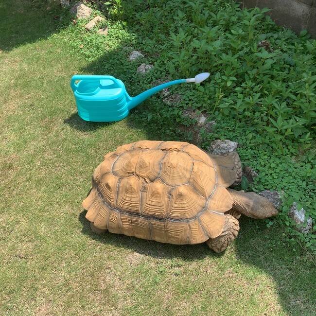 RICKイチイチのカバー写真