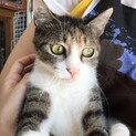 里親決定。ローズマリーちゃん一歳