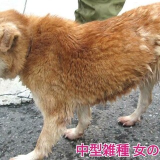 待っていたけどお迎えがきませんでした