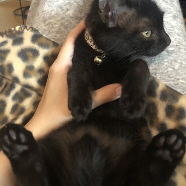の写真