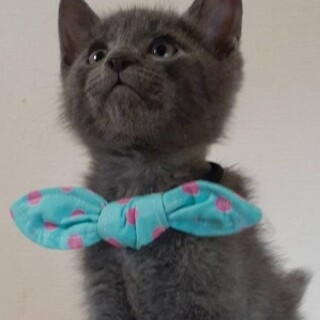 【9/13東銀座】ひぐくん2ヵ月半♪