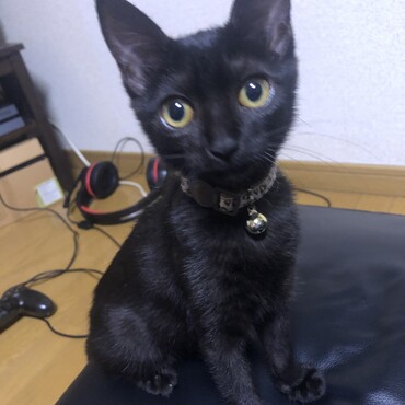 の写真