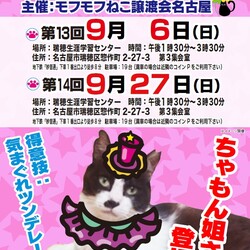 猫の譲渡会　in　名古屋市瑞穂区生涯学習センター