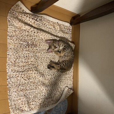 の写真