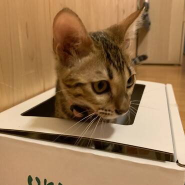 の写真