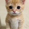きー☆