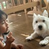 Yuki 8 months 