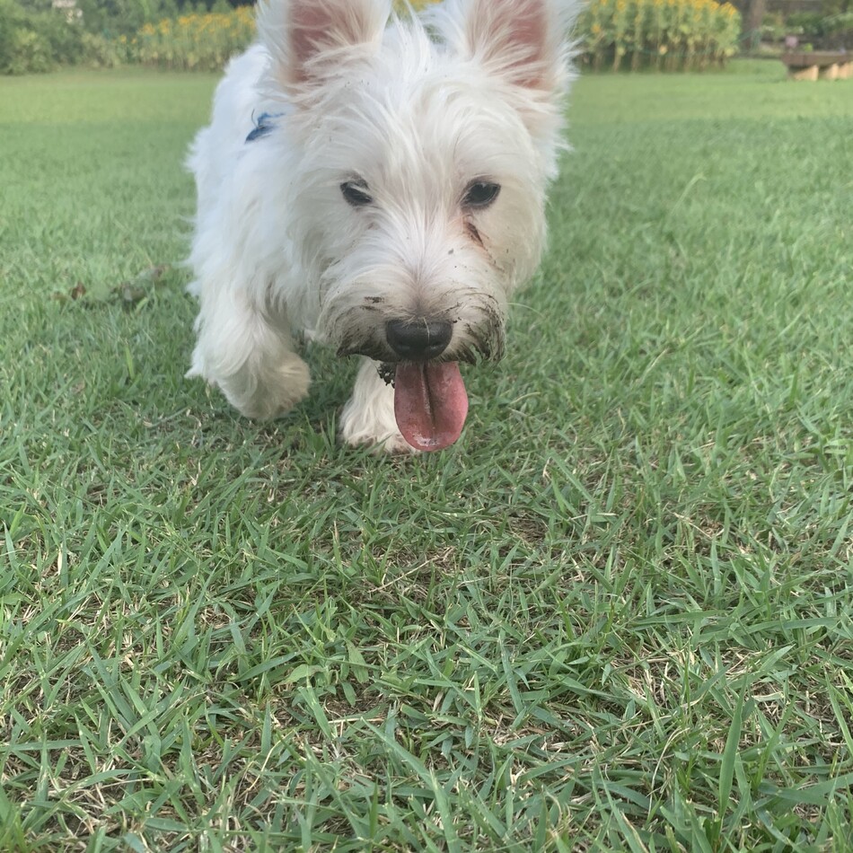 Yukiのカバー写真
