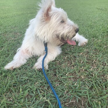 Love to play in parks 