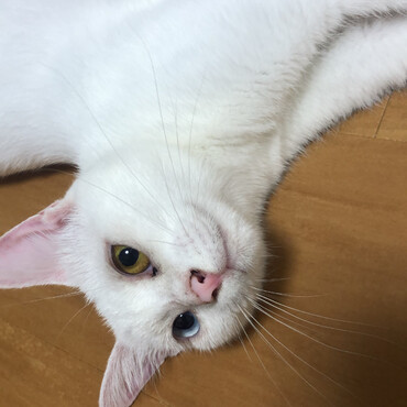 の写真