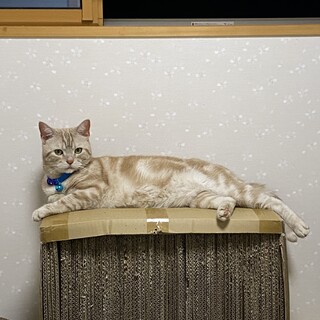 幸せにしてください