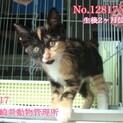 里親決定！有難うございました！