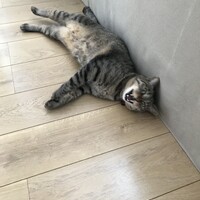 ふくまる