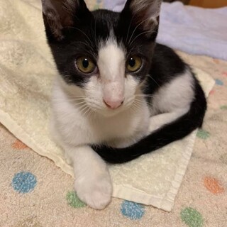 面長ハンサム！？しおくん