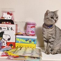アメリ