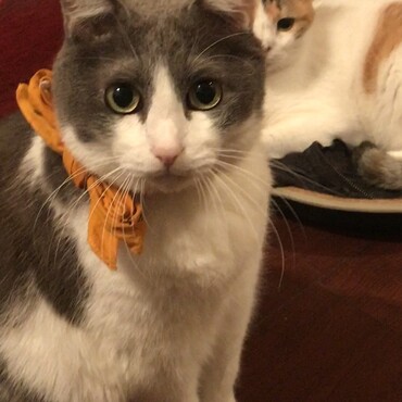 スカーフが似合うね