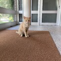 募集は終了しました