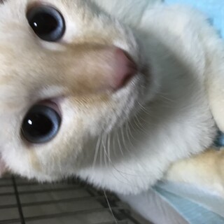 甘えんぼ好きに一押し❗️性格の良いぐるぐるくん！