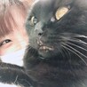 とよ@