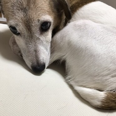 中々起きない。目は開いてるのに。