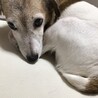 中々起きない。目は開いてるのに。
