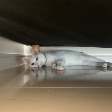 の写真
