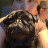 黒パグむぎ