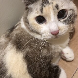 ♡とってもcuteでBIGな兄妹♡