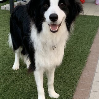 殺到の為、一度募集を停止します。