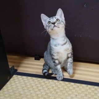 「今日から俺は！！」に出演した？？