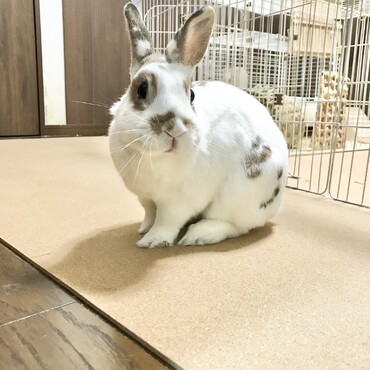 の写真