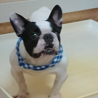 フレンチ 男の子