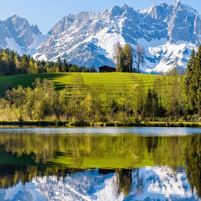 つむちんのカバー写真