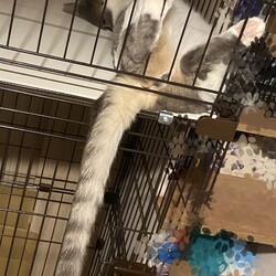 はじめての病院＆お風呂