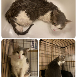 「はじめての病院＆お風呂」サムネイル3