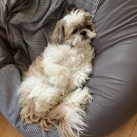 ルナ