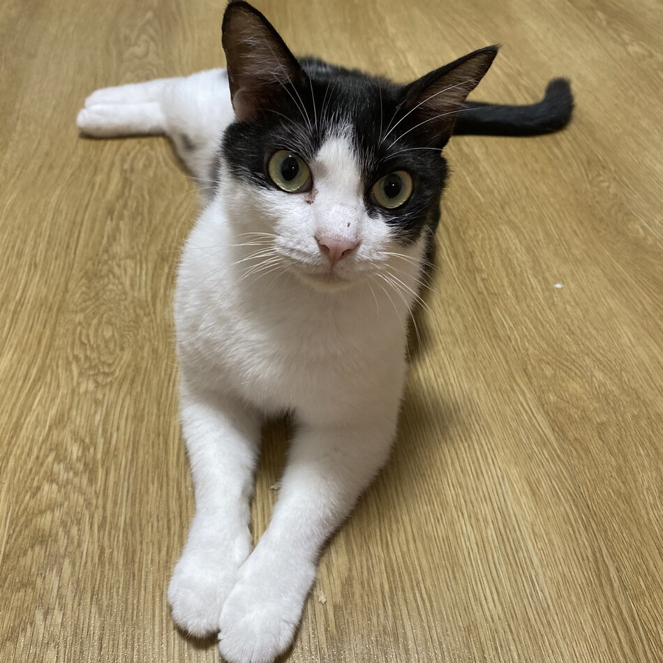 海美（うみ）のカバー写真