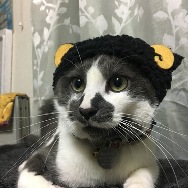 の写真