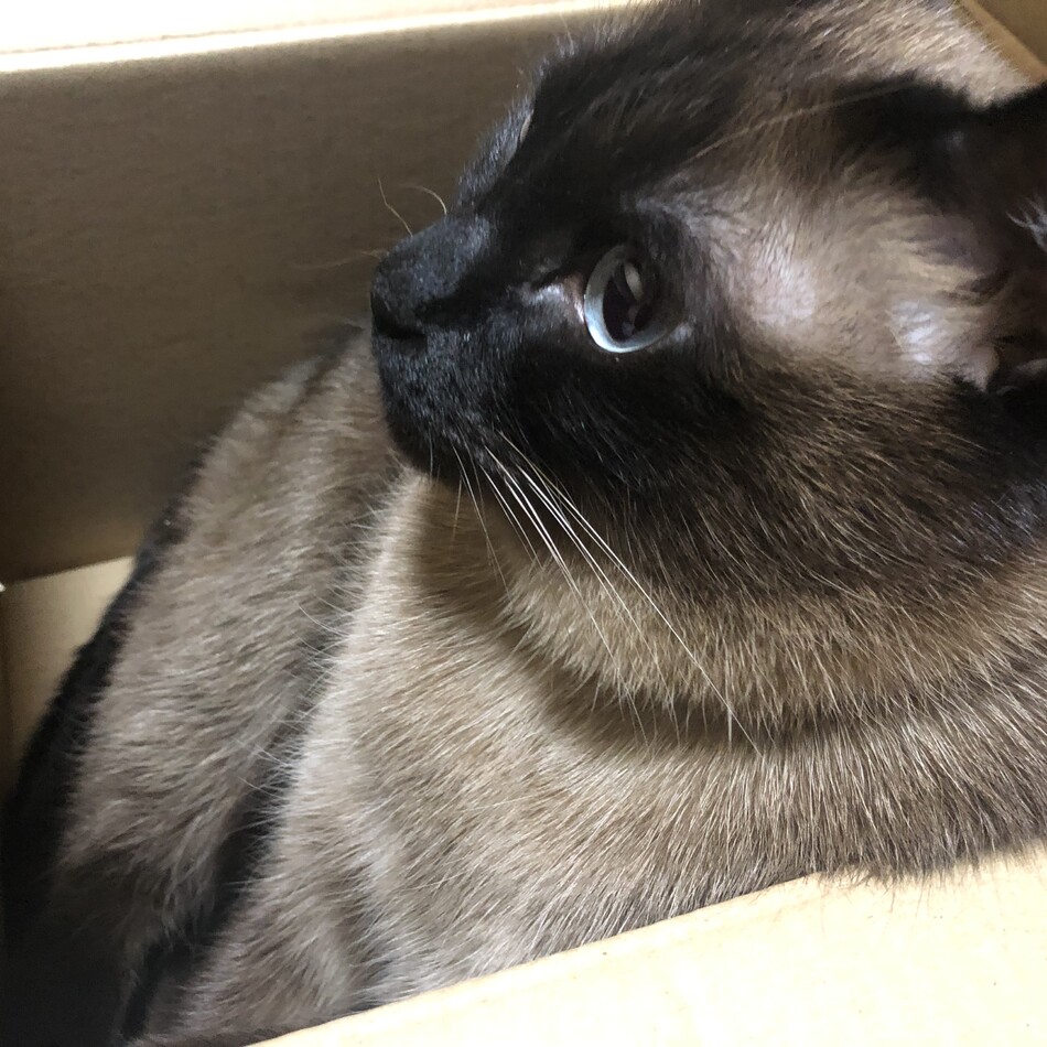 フクのカバー写真