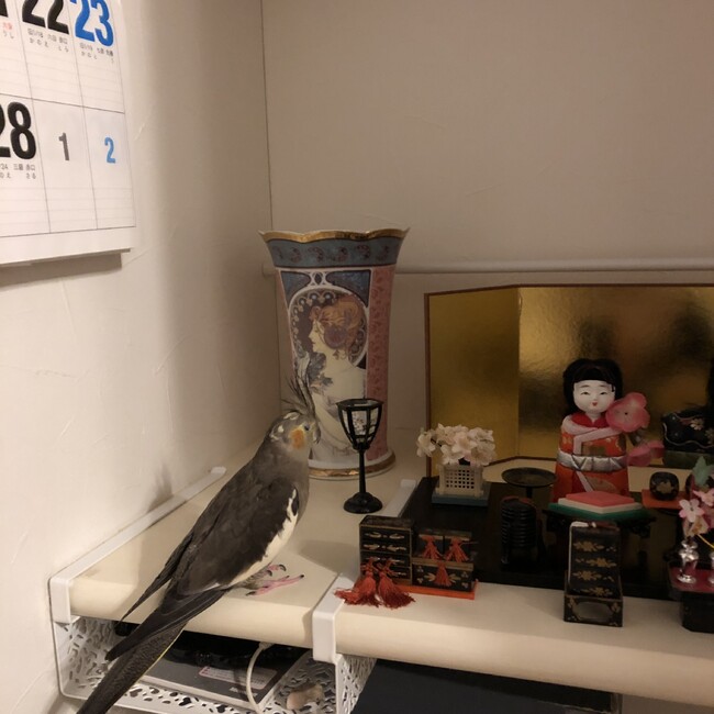 sakuratubasaのカバー写真