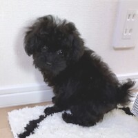 ちゅら