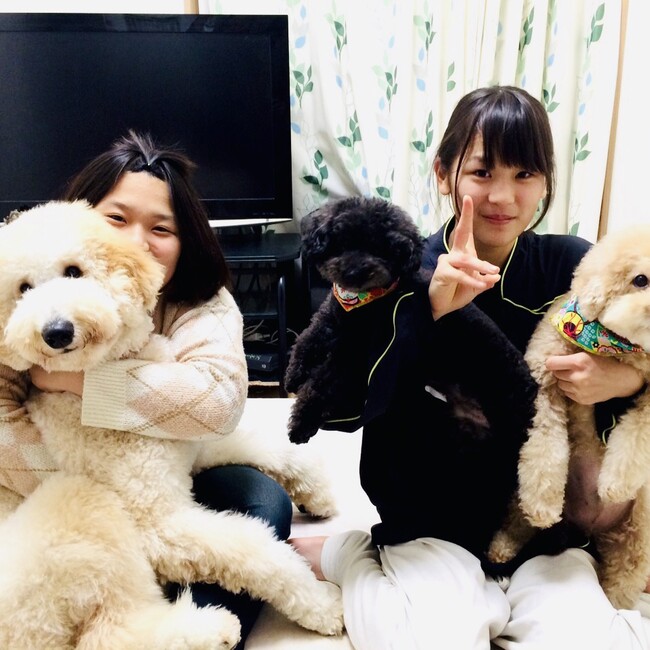 えぺくすのカバー写真