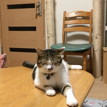 最近、むぎ君を見る度に、家族で　むぎ大きいなぁ〜　と言っています。