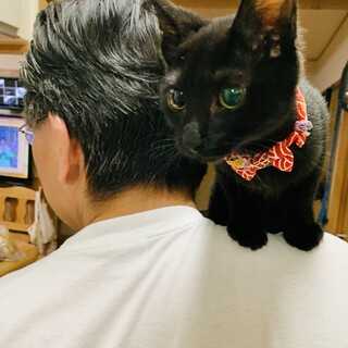 飼いやすさ抜群❗️スーパーいい子です♡